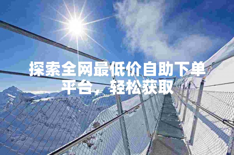 探索全网最低价自助下单平台，轻松获取50个赞。