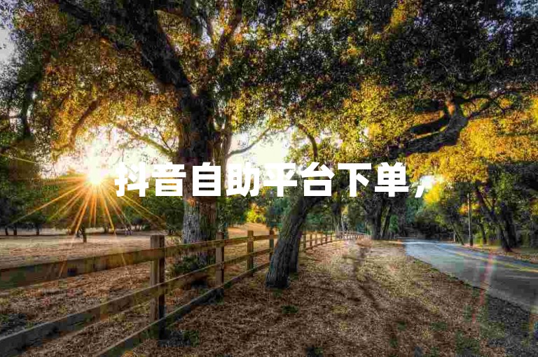 抖音自助平台下单，50赞仅需几元。