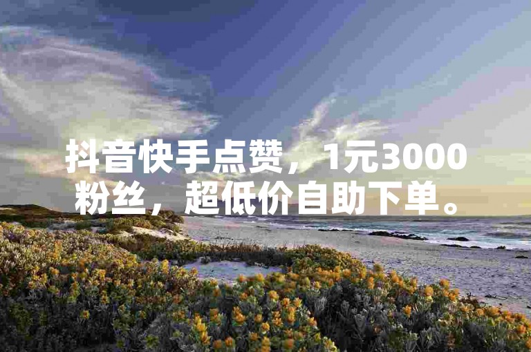 抖音快手点赞，1元3000粉丝，超低价自助下单。