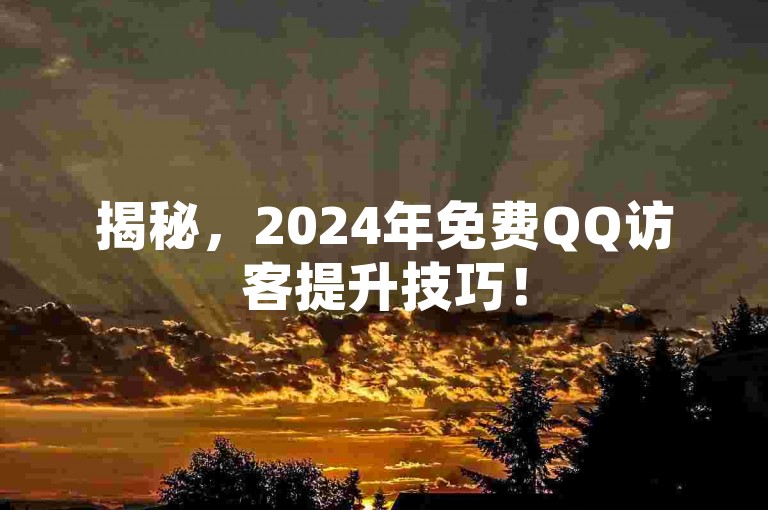 揭秘，2024年免费QQ访客提升技巧！