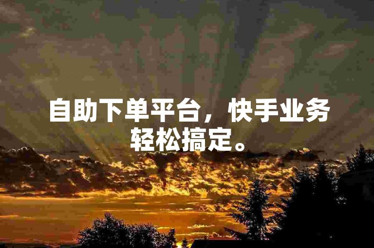 自助下单平台，快手业务轻松搞定。