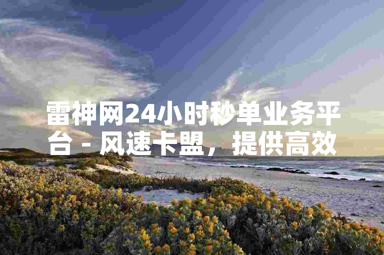 雷神网24小时秒单业务平台 - 风速卡盟，提供高效快捷的订单处理服务。