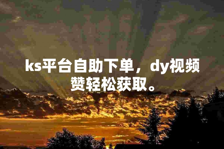 ks平台自助下单，dy视频赞轻松获取。