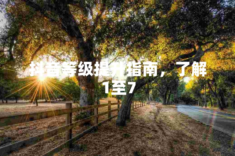 抖音等级提升指南，了解1至75级所需费用。