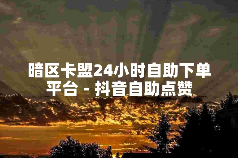 暗区卡盟24小时自助下单平台 - 抖音自助点赞