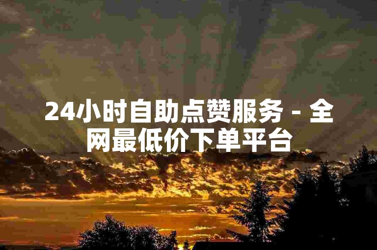 24小时自助点赞服务 - 全网最低价下单平台
