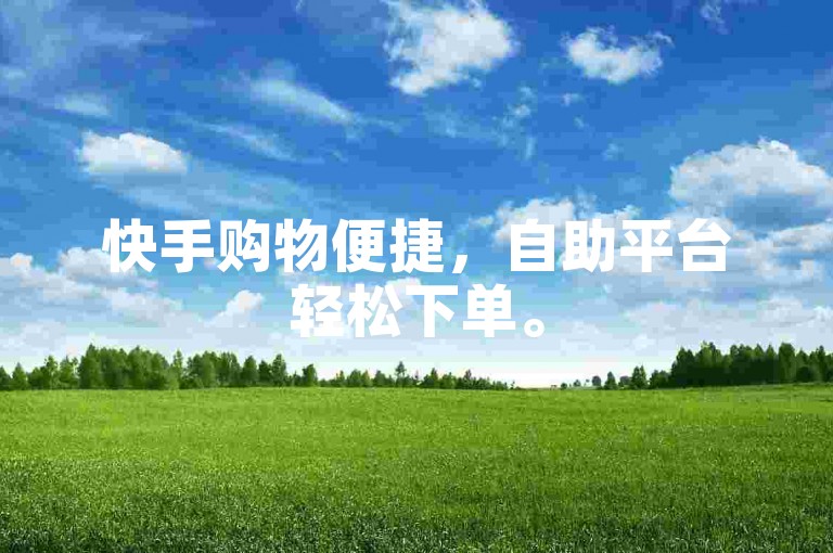 快手购物便捷，自助平台轻松下单。