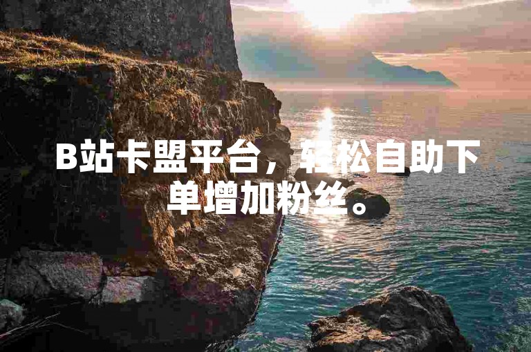 B站卡盟平台，轻松自助下单增加粉丝。