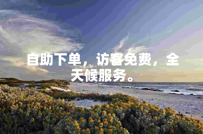 自助下单，访客免费，全天候服务。