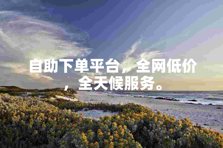 自助下单平台，全网低价，全天候服务。
