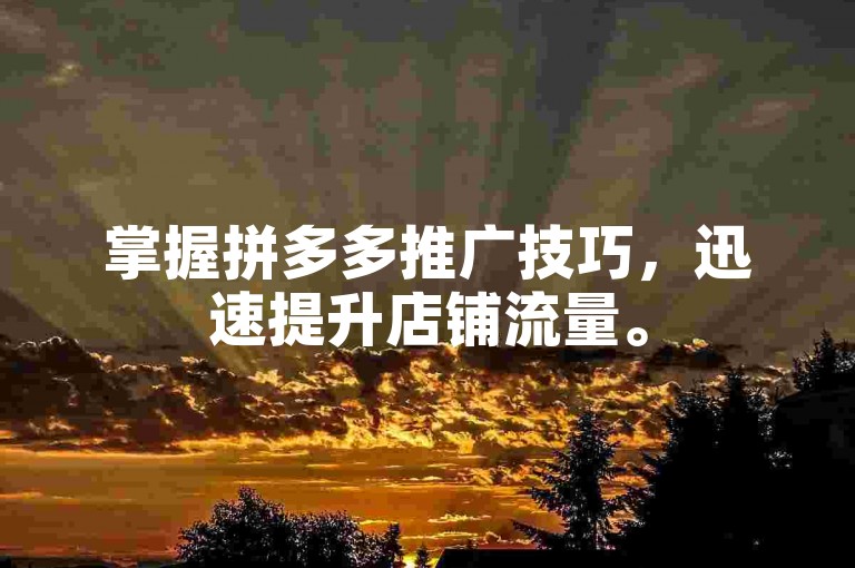 掌握拼多多推广技巧，迅速提升店铺流量。