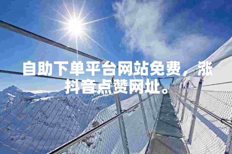 自助下单平台网站免费，涨抖音点赞网址。