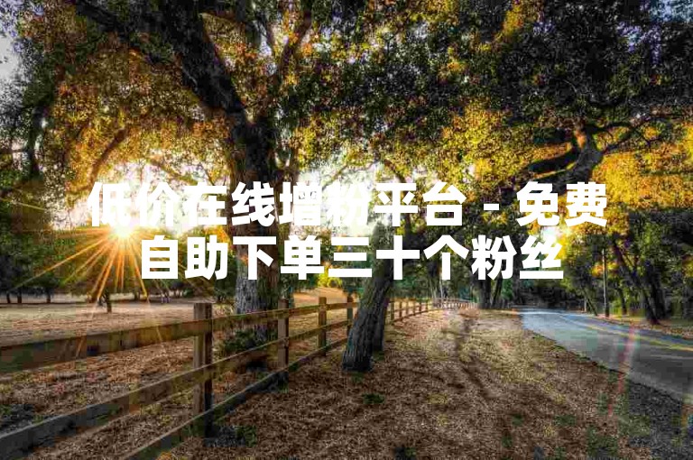 低价在线增粉平台 - 免费自助下单三十个粉丝