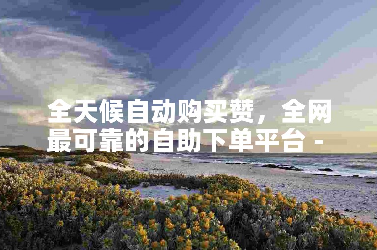 全天候自动购买赞，全网最可靠的自助下单平台 - 价格最优。