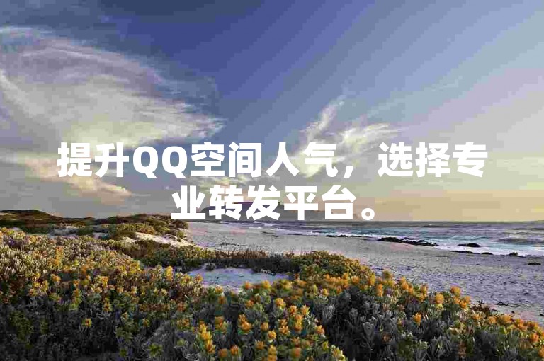 提升QQ空间人气，选择专业转发平台。