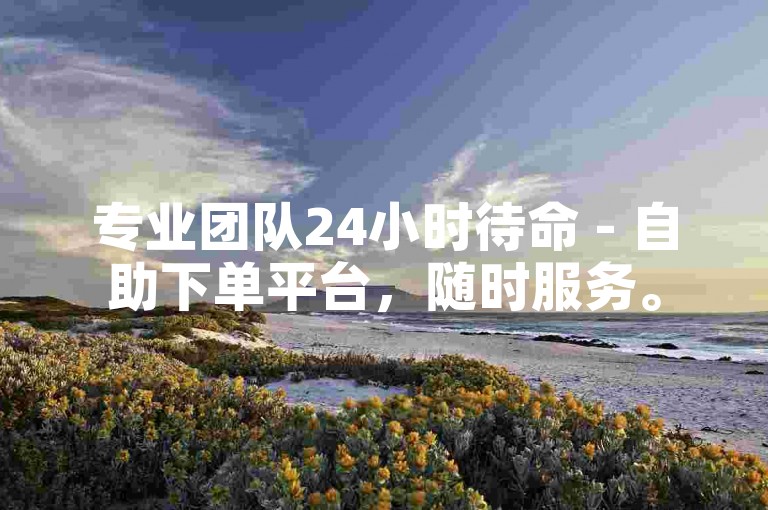 专业团队24小时待命 - 自助下单平台，随时服务。