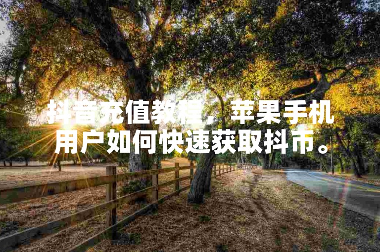 抖音充值教程，苹果手机用户如何快速获取抖币。