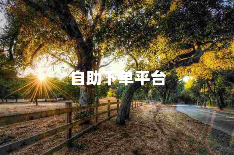 自助下单平台50个赞，dy24小时业务轻松搞定。