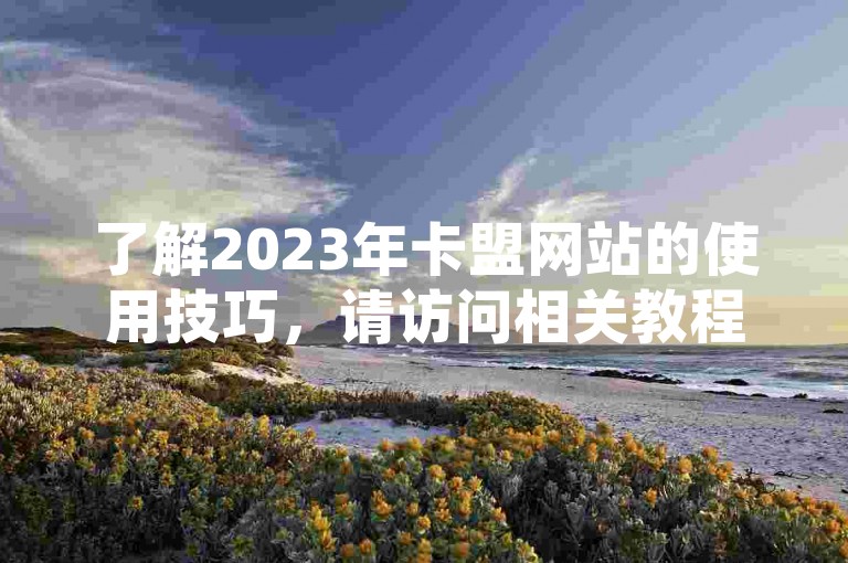 了解2023年卡盟网站的使用技巧，请访问相关教程网站。
