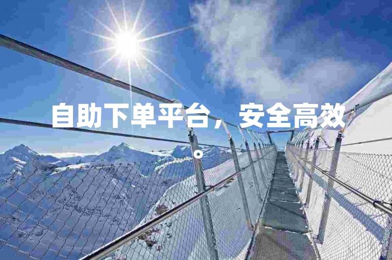 自助下单平台，安全高效。