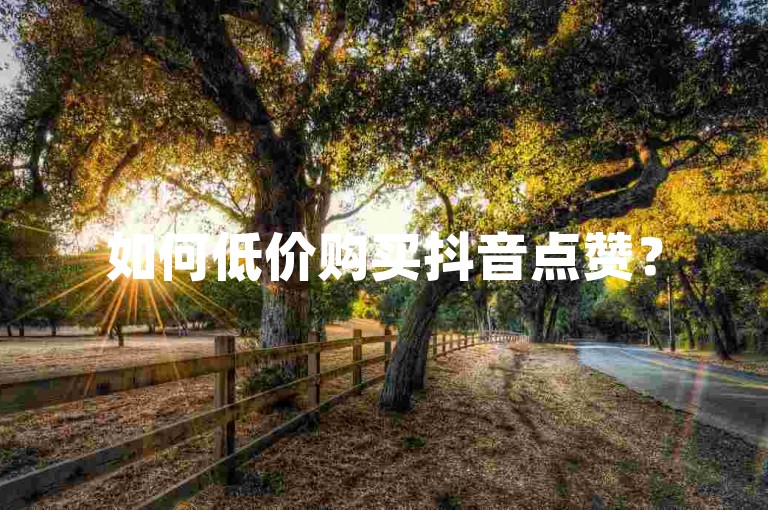 如何低价购买抖音点赞？