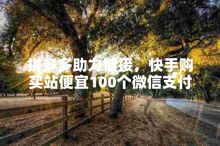 拼多多助力链接，快手购买站便宜100个微信支付