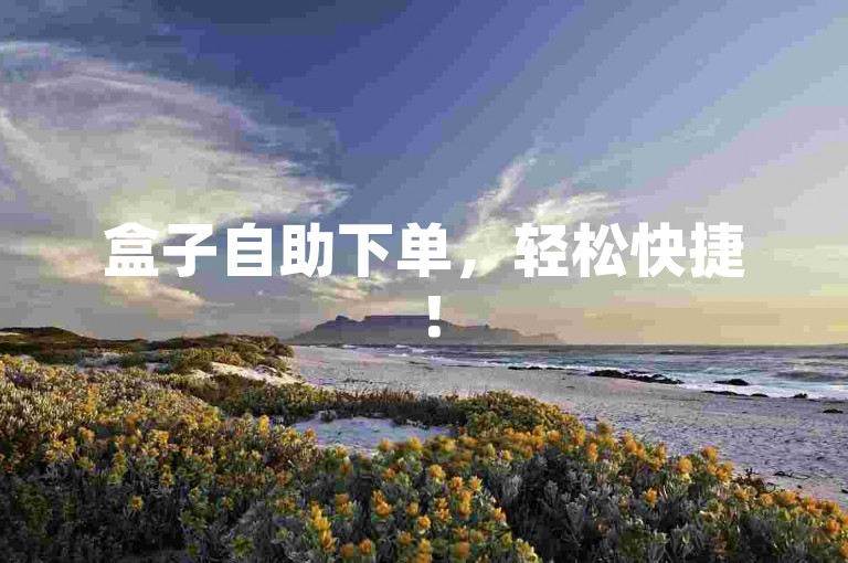 盒子自助下单，轻松快捷！
