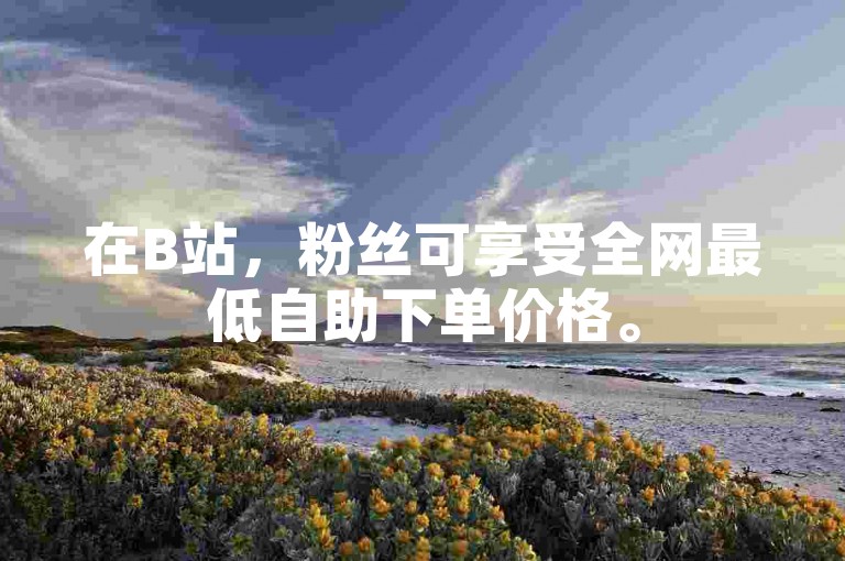 在B站，粉丝可享受全网最低自助下单价格。