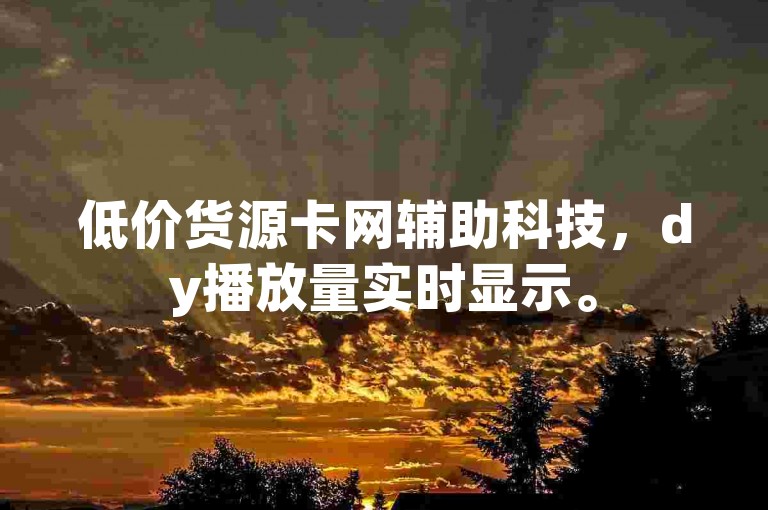 低价货源卡网辅助科技，dy播放量实时显示。