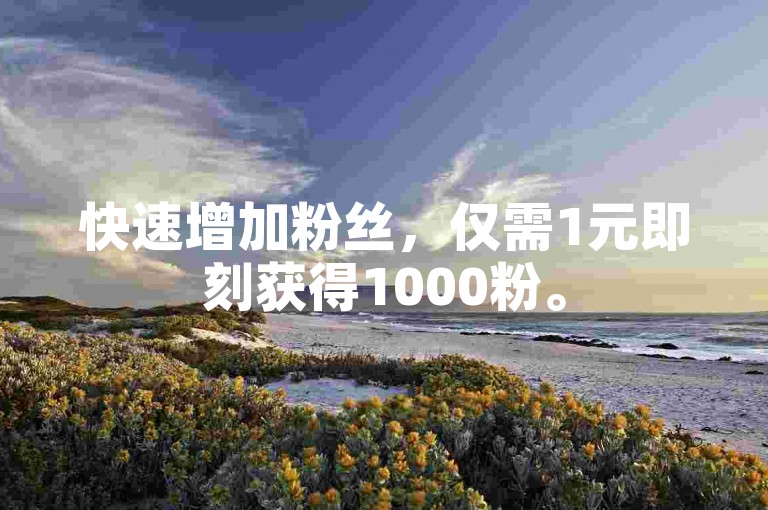 快速增加粉丝，仅需1元即刻获得1000粉。