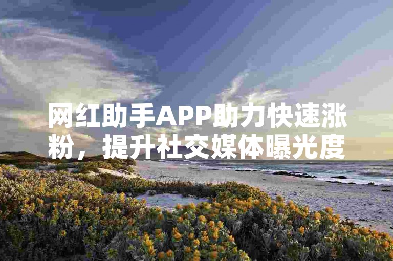 网红助手APP助力快速涨粉，提升社交媒体曝光度。