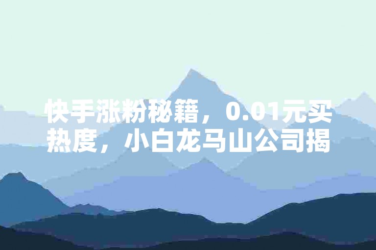 快手涨粉秘籍，0.01元买热度，小白龙马山公司揭秘！