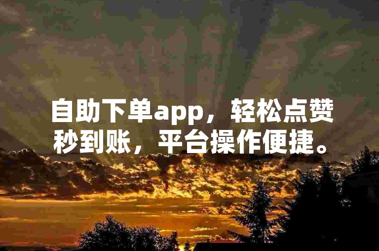 自助下单app，轻松点赞秒到账，平台操作便捷。