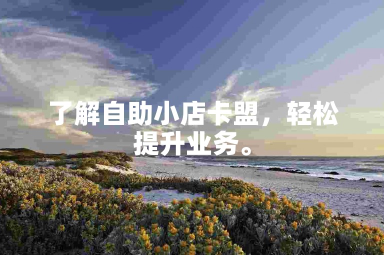 了解自助小店卡盟，轻松提升业务。