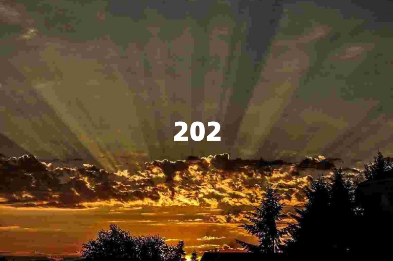 2025年必备，揭秘24小时免费下单平台，助力DY业务飞跃！
