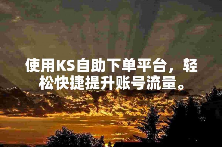 使用KS自助下单平台，轻松快捷提升账号流量。