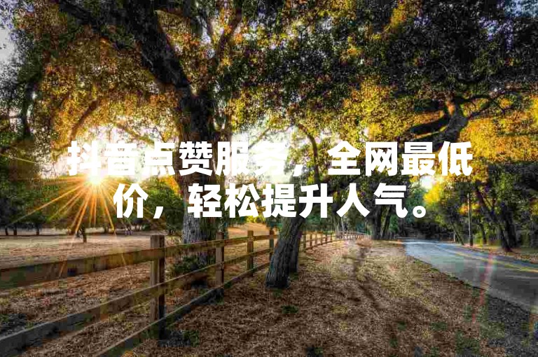 抖音点赞服务，全网最低价，轻松提升人气。