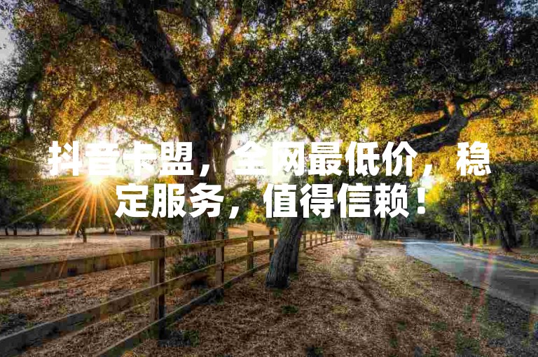 抖音卡盟，全网最低价，稳定服务，值得信赖！
