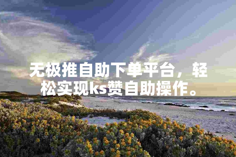 无极推自助下单平台，轻松实现ks赞自助操作。