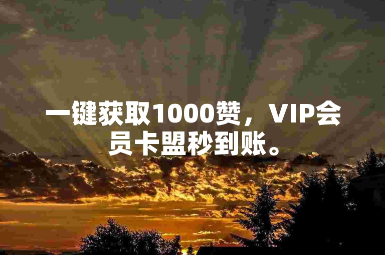 一键获取1000赞，VIP会员卡盟秒到账。