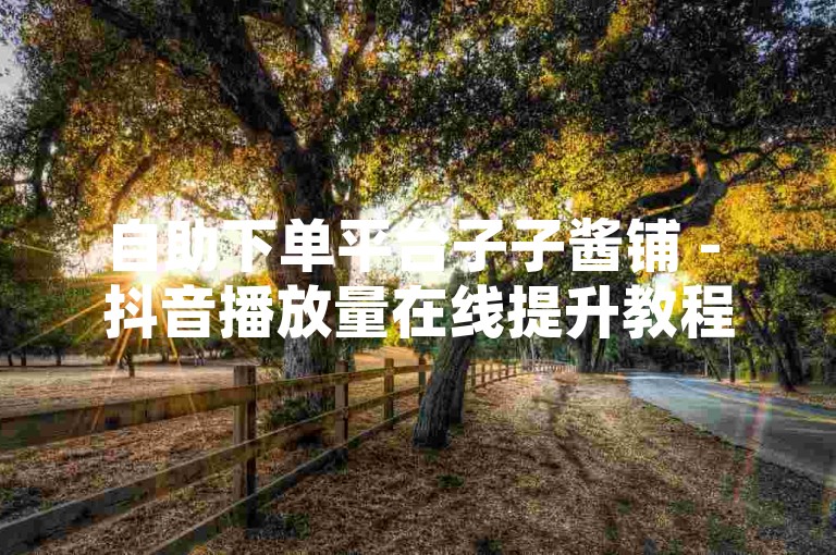 自助下单平台子子酱铺 - 抖音播放量在线提升教程