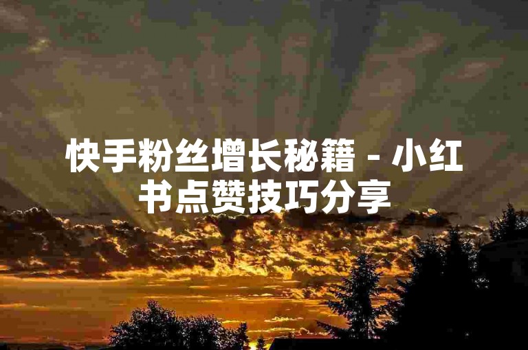 快手粉丝增长秘籍 - 小红书点赞技巧分享