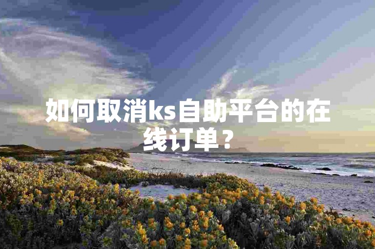 如何取消ks自助平台的在线订单？
