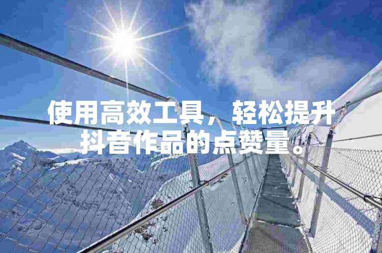 使用高效工具，轻松提升抖音作品的点赞量。