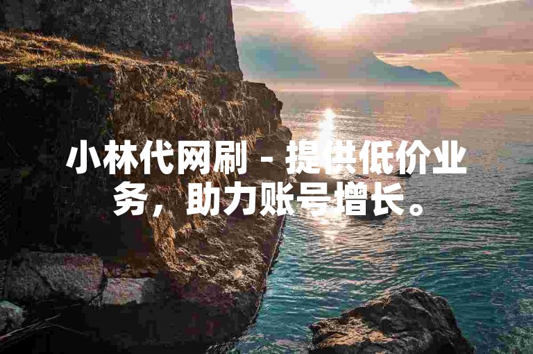 小林代网刷 - 提供低价业务，助力账号增长。