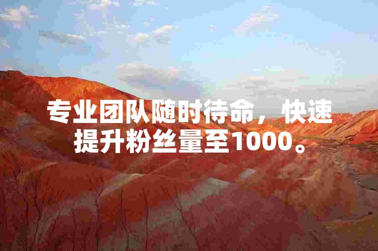 专业团队随时待命，快速提升粉丝量至1000。