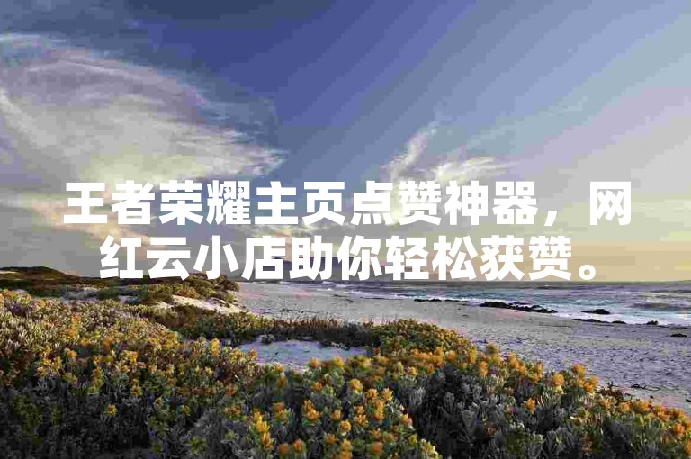 王者荣耀主页点赞神器，网红云小店助你轻松获赞。