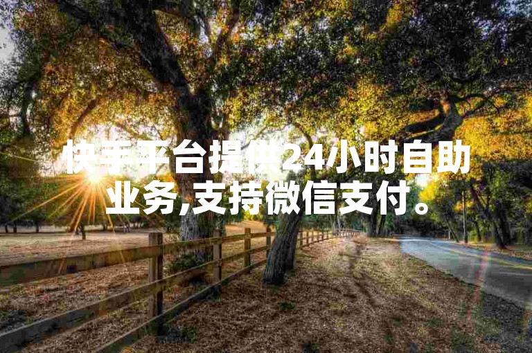 快手平台提供24小时自助业务,支持微信支付。