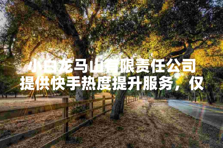 小白龙马山有限责任公司提供快手热度提升服务，仅需0.01元。