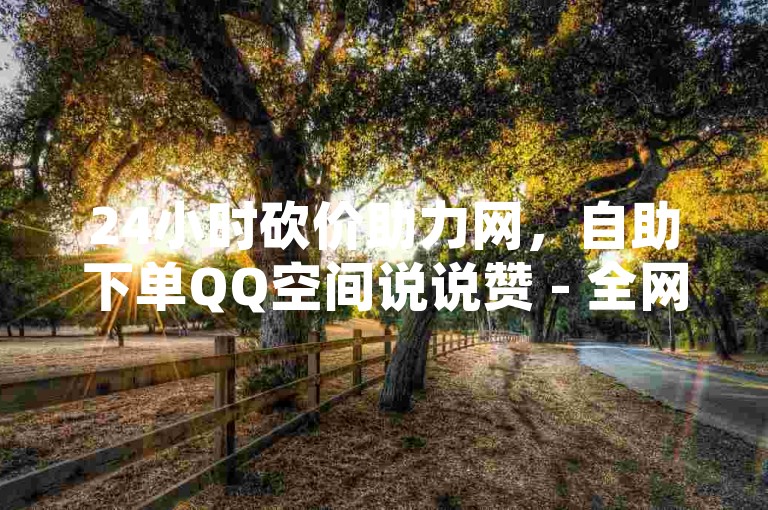 24小时砍价助力网，自助下单QQ空间说说赞 - 全网最低价平台